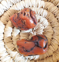 Load image into Gallery viewer, Antique Berber Red Coral Beads: Natural Branch, Morocco (13gr)
