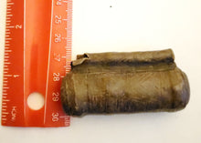 Load image into Gallery viewer, 1 Old Ethiopian Leather Healing Scroll Protection Amulet large size Kitabe,religious pendant,Ethiopian Amulet,Leather,Manuscripts Scroll