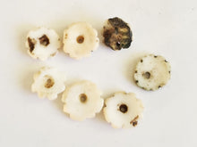 Load image into Gallery viewer, Old carved shell 1 Hair adornment/trade 13mm small beads Berber Mauritania ,Hand Crafted ,CONUS SHELL ,Ethnic Jewelry,Tribal Jewelry